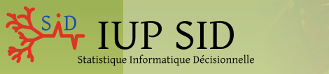 développement web freelance sur Montauban IUP SID Statistique Informatique Decisionnelle à Toulouse