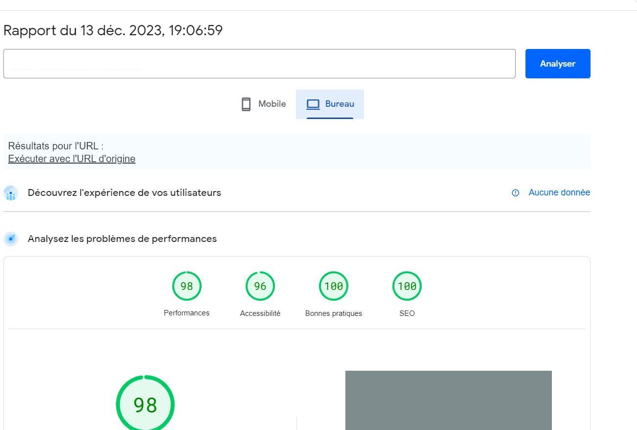 Rapport d optimisation